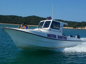 boat_ms3100
