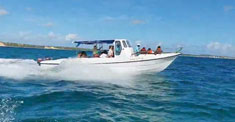 Cruising Video Link