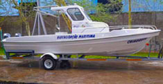 MS2600 Video link